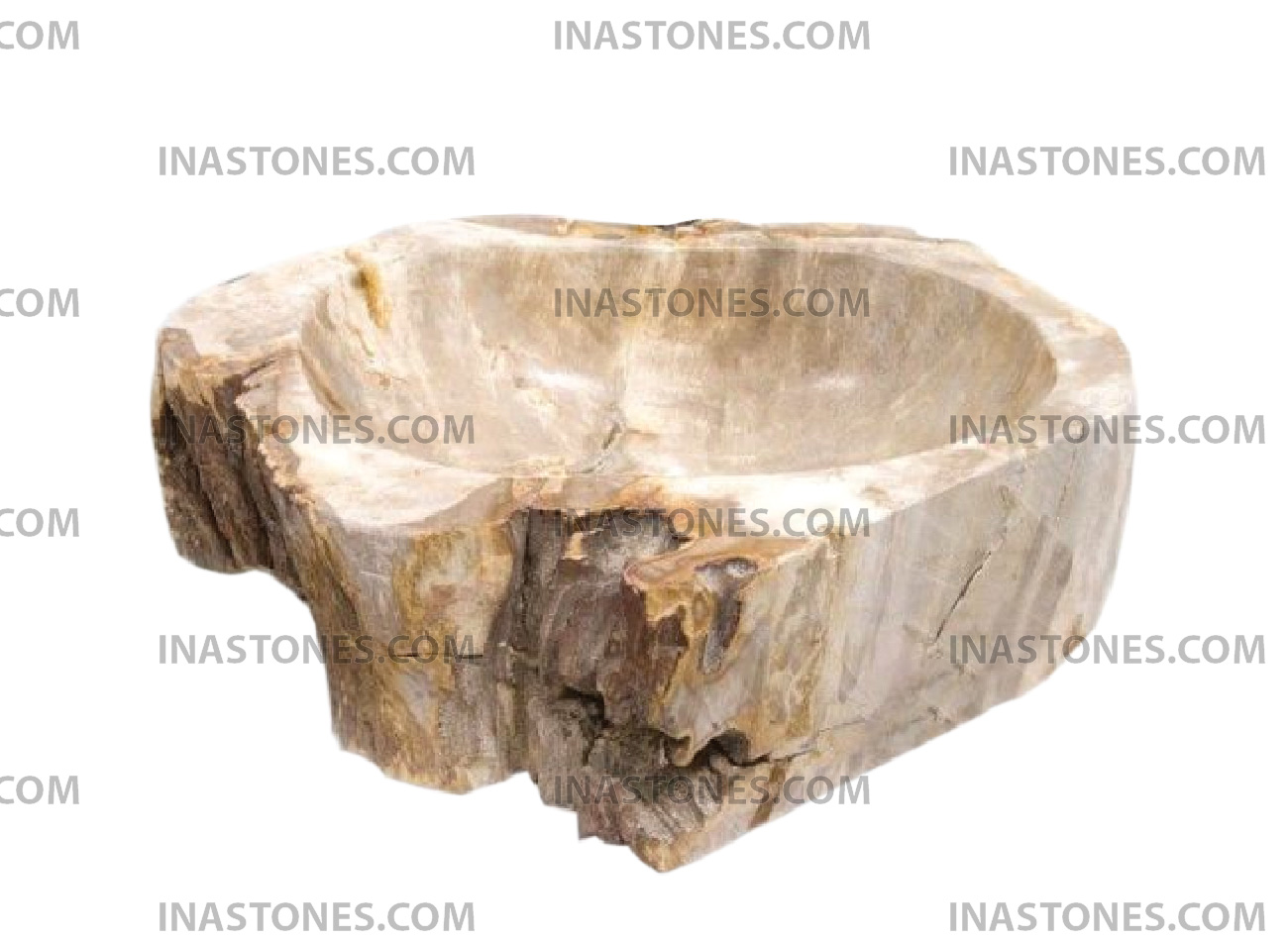 Petrified Wood Wash Basin